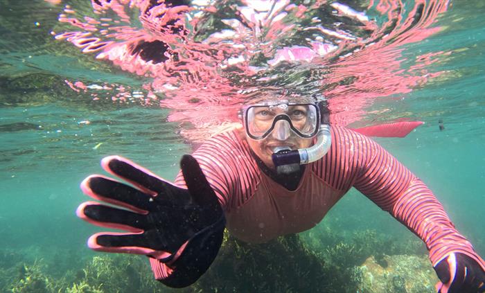 Wild Swim Wales